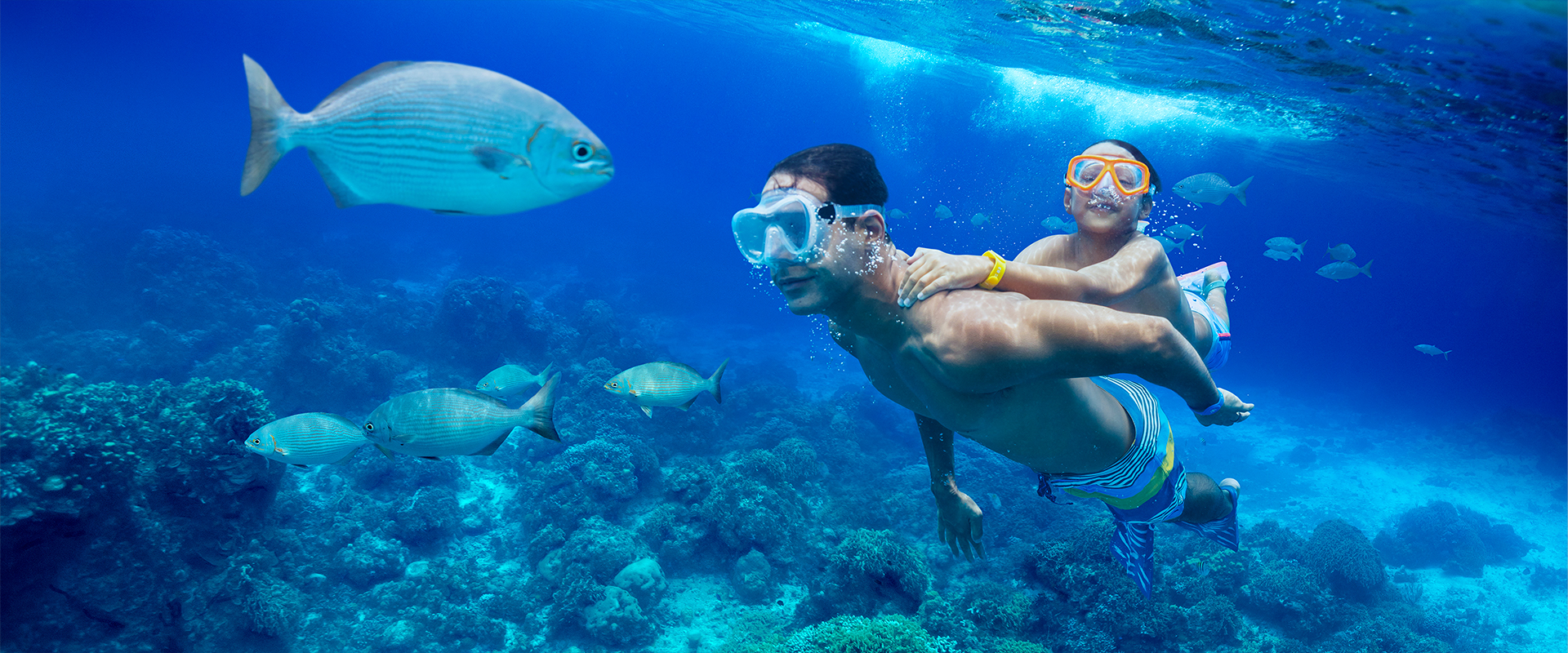 Son and Dad Snorkelling in Cozumel